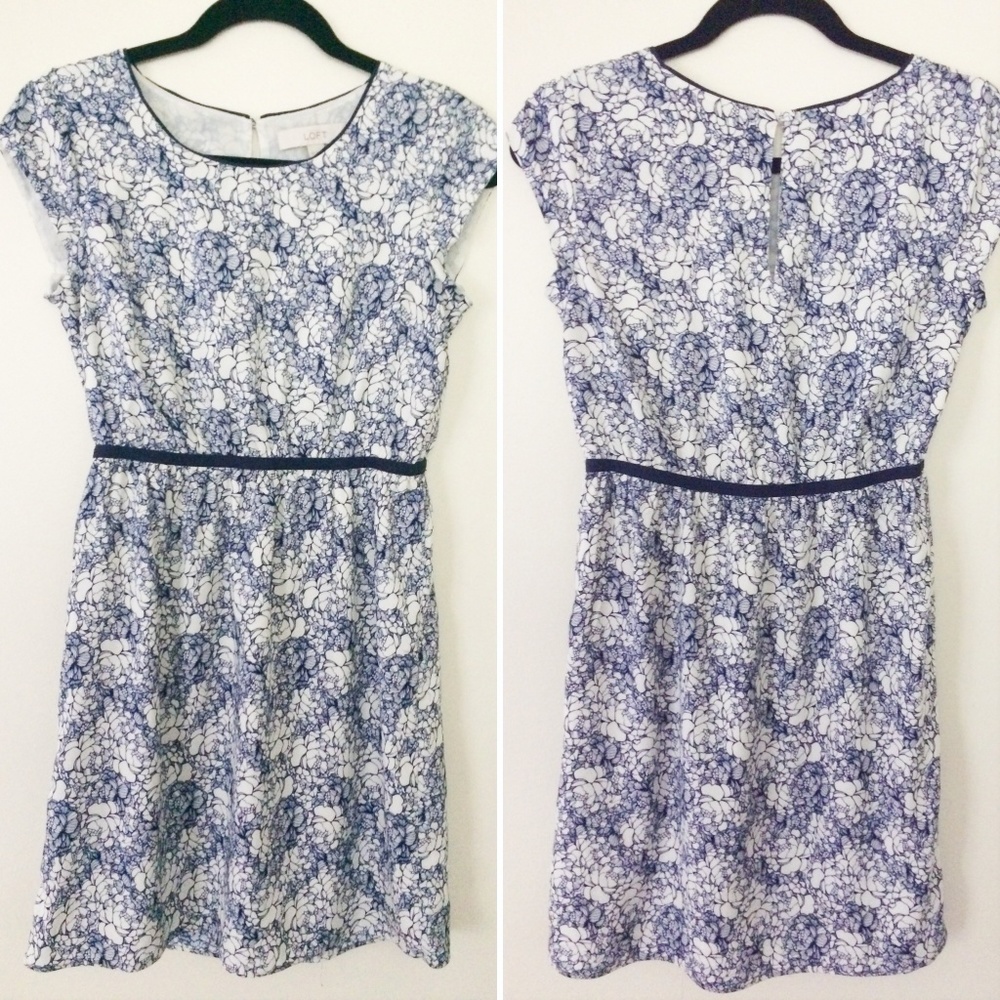 Ann Taylor LOFT Petites Blue Floral Lined Dress 2P